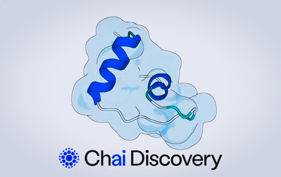 Chai Discovery